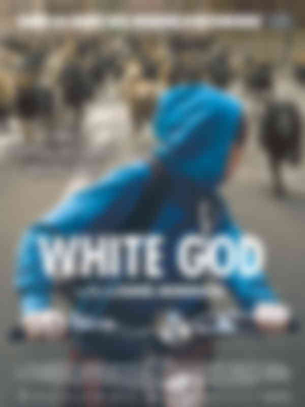 Poster du programme White God
