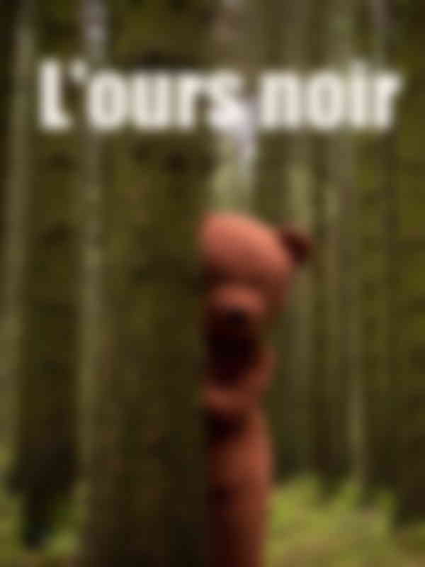 Poster du programme L'ours noir