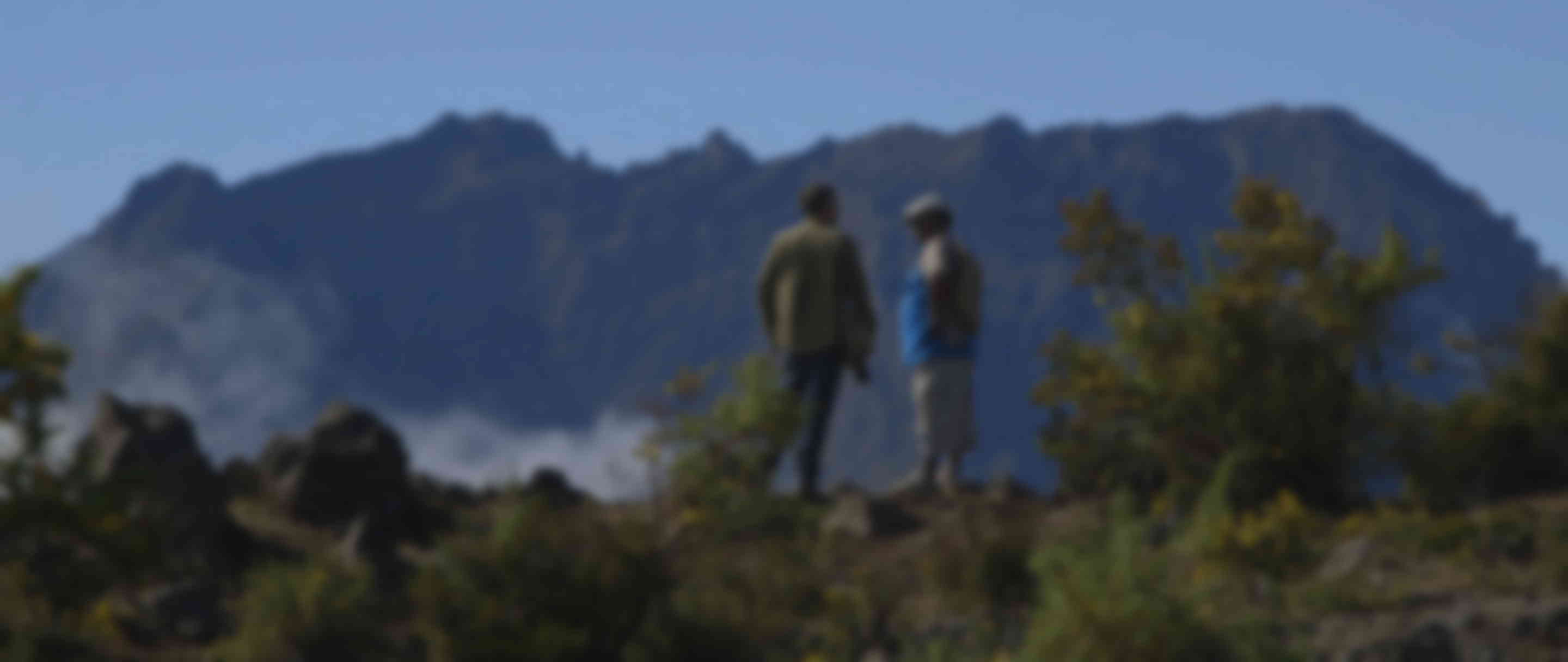 Médecines d'ailleurs - La Réunion - Tisanes créoles