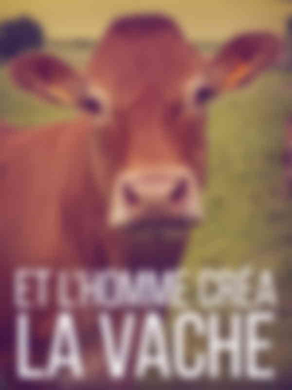 Et l'homme créa la vache