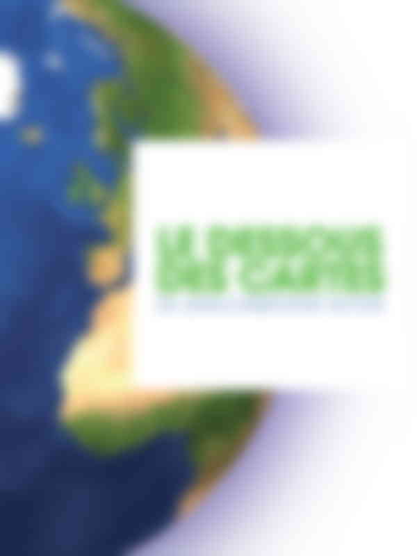 Dessous des Cartes – Le Mozambique, future puissance énergétique ? (Le)