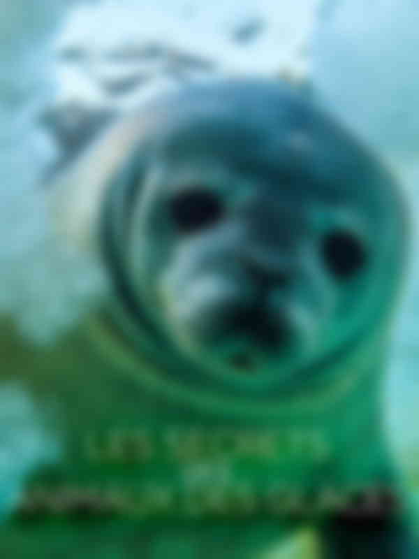 Poster du programme secrets des animaux des glaces (Les)