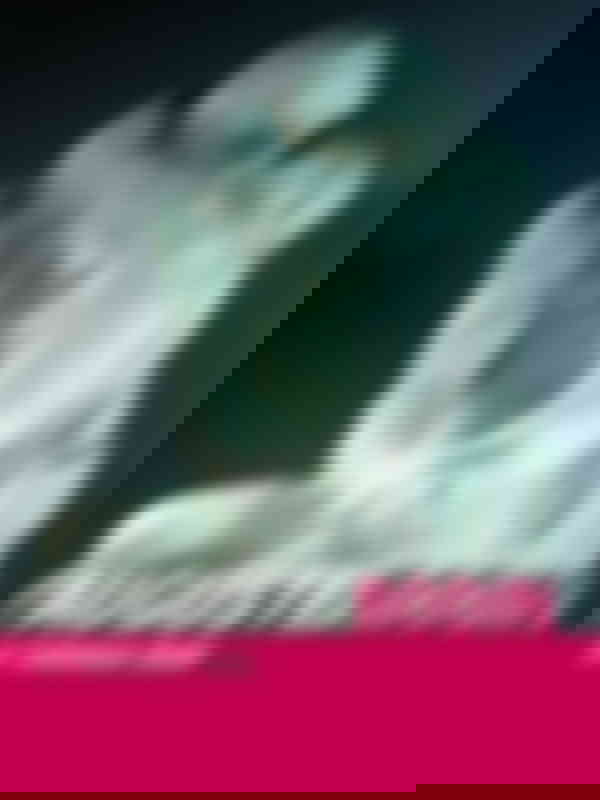 Poster du programme La turbulence Rodin