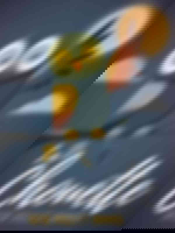 Poster du programme La Chouette entre veille et sommeil