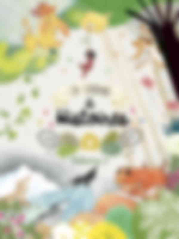 Poster du programme La cabane à histoires – Volume 2