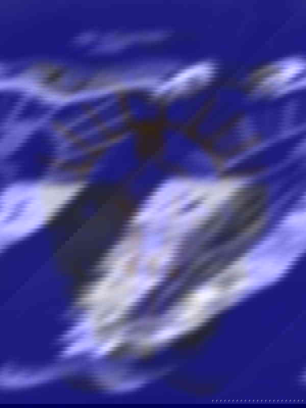 Poster du programme L'âge des sirènes