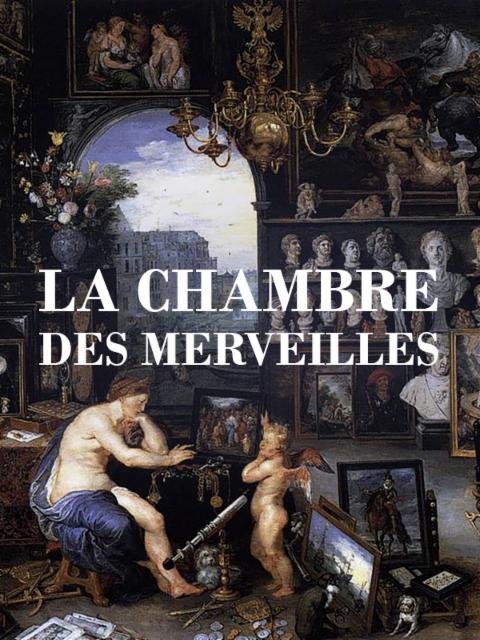 La Chambre des merveilles (Littérature) (French Edition)