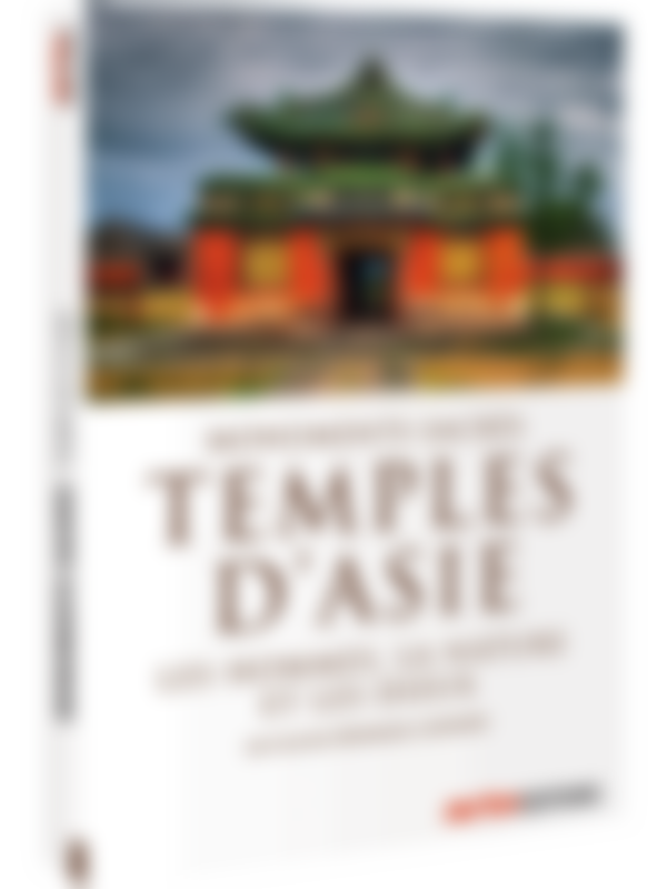 Poster du programme Monuments Sacrés - Temples d'Asie, les hommes, la nature et les dieux
