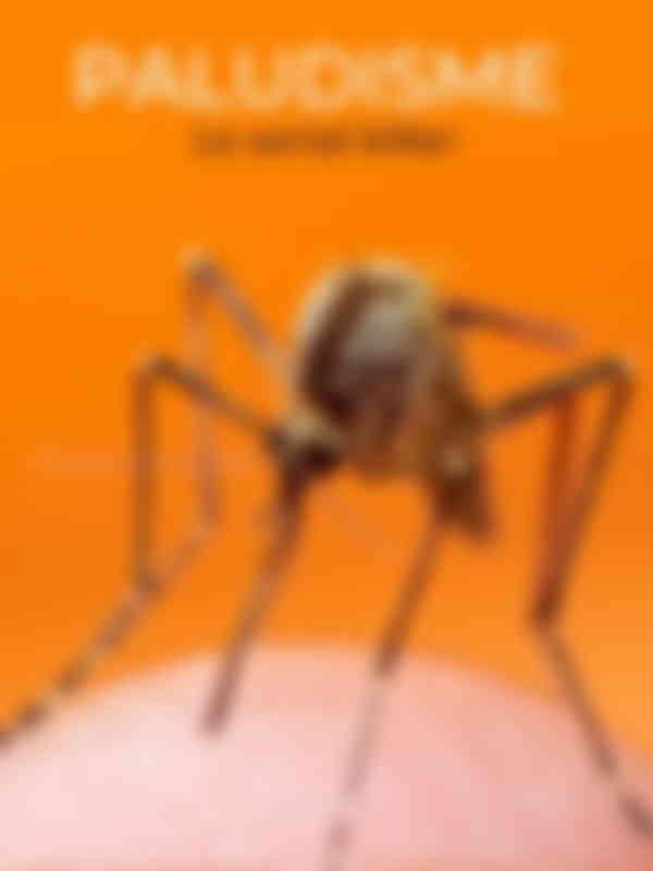 Poster du programme Paludisme, le serial killer