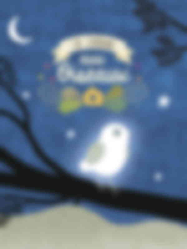Poster du programme La cabane aux oiseaux