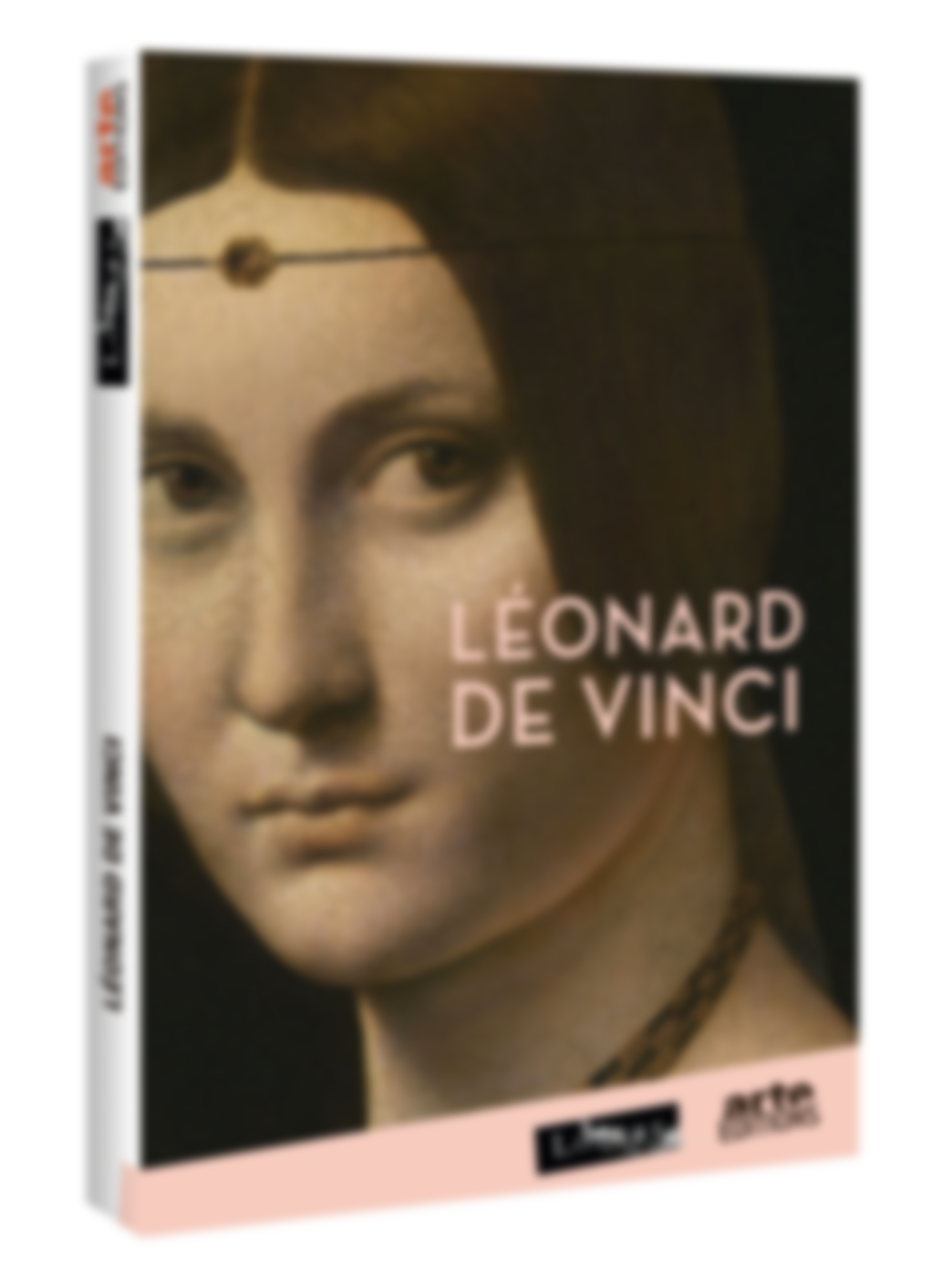 Léonard de Vinci