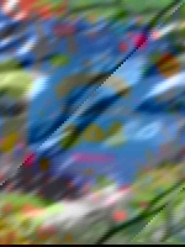Poster du programme La cabane à histoires - Volume 6