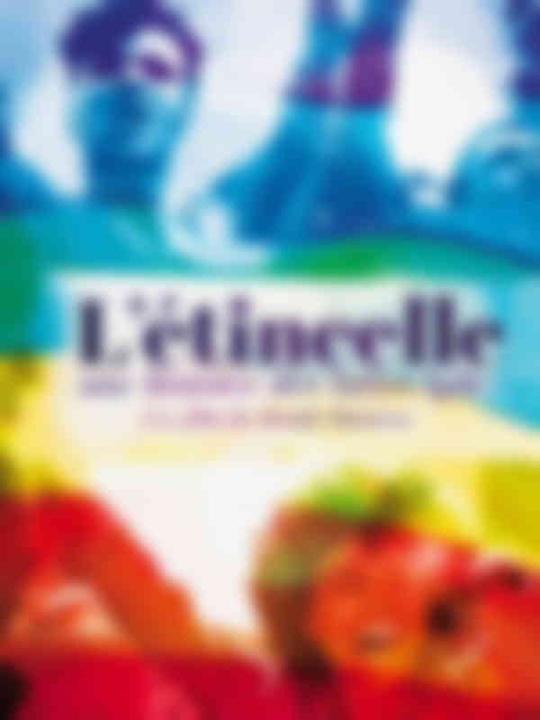 Poster du programme L'étincelle - Une histoire des luttes LGBT+