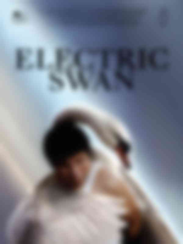 Poster du programme Electric Swan