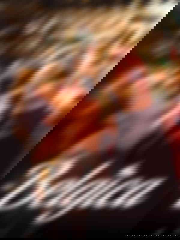 Poster du programme Belgica