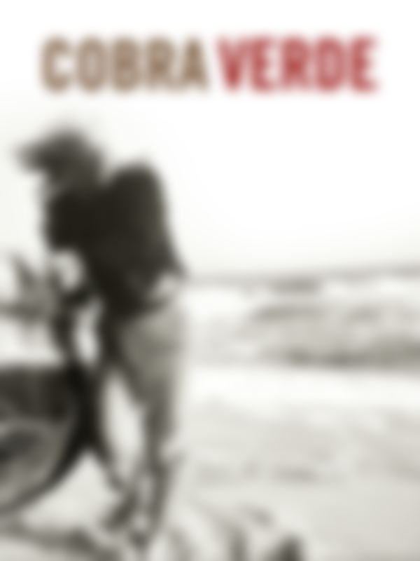 Poster du programme Cobra verde