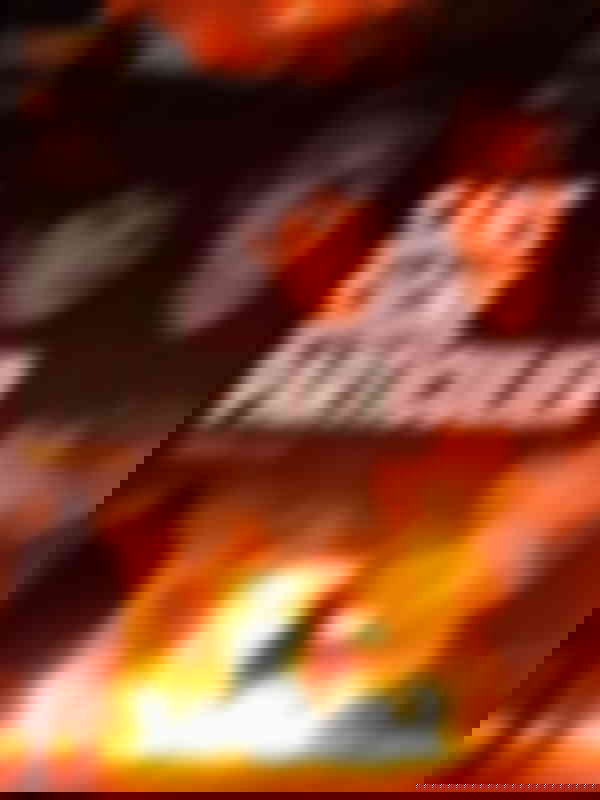 Poster du programme Sans signe particulier