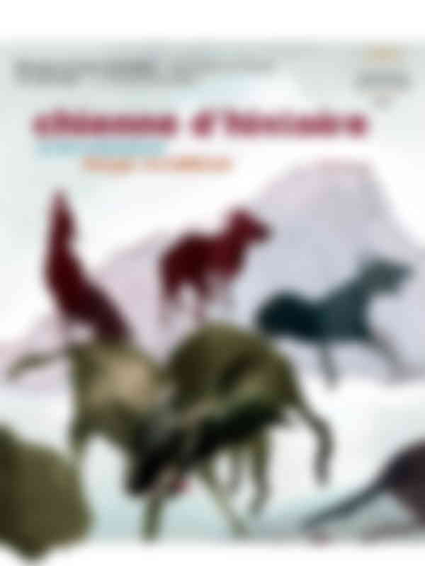 Poster du programme Chienne d'histoire