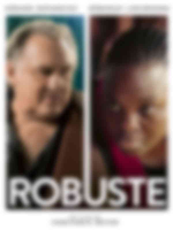 Poster du programme Robuste