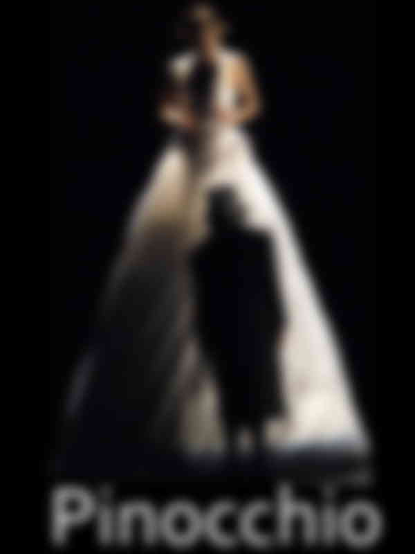 Poster du programme Pinocchio