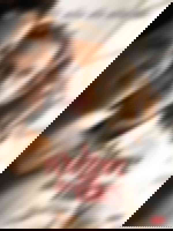 Poster du programme A l'ombre des filles