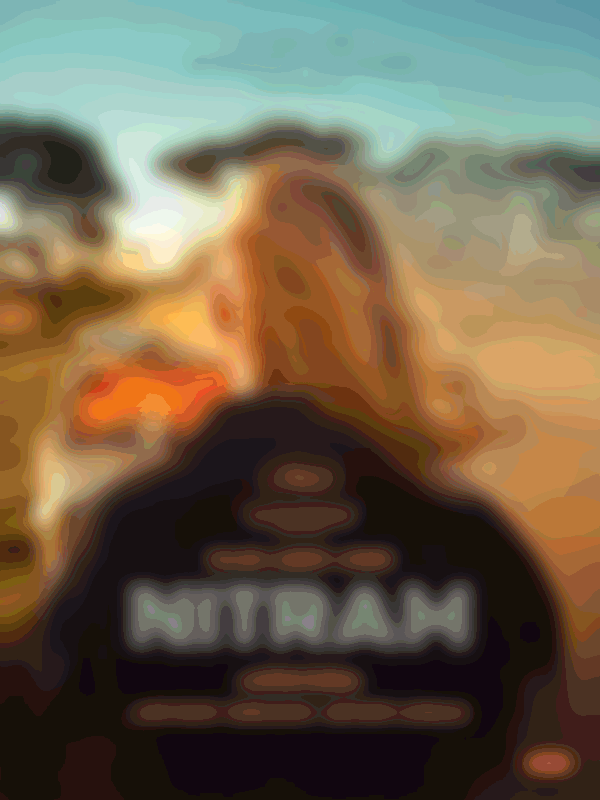 Poster du programme Nitram