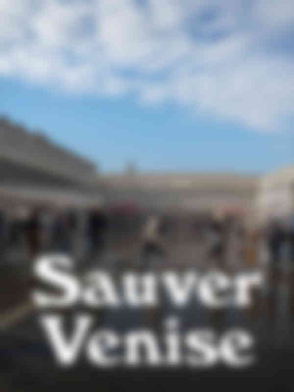 Poster du programme Sauver Venise