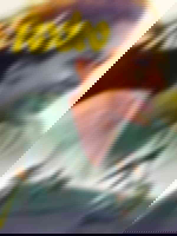 Poster du programme Rodeo