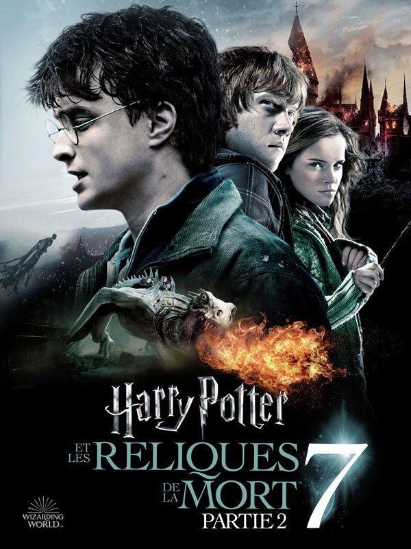 Harry Potter 7 - Partie 2 derrière France 3 hier soir - Potterveille