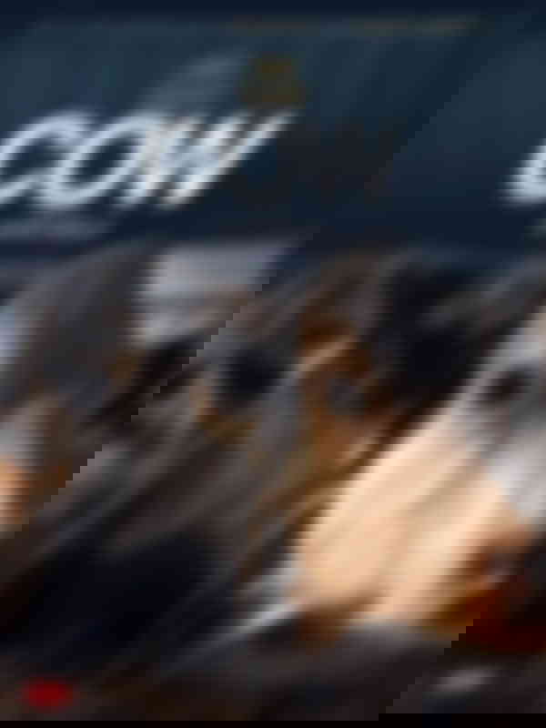 Poster du programme Cow