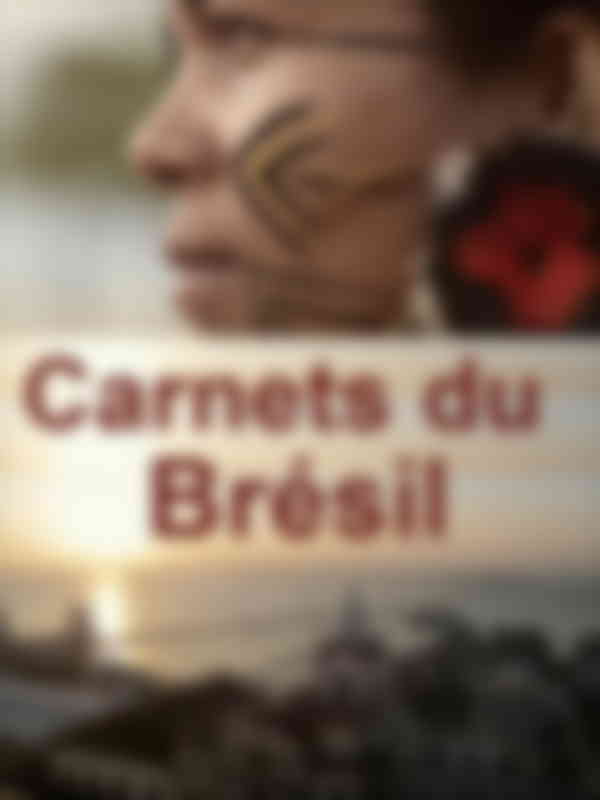 Carnets du Brésil, histoire d'une colonisation