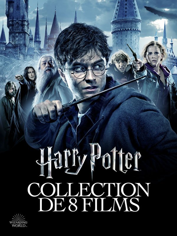 Harry Potter et la chambre des secrets - Version Longue (VF