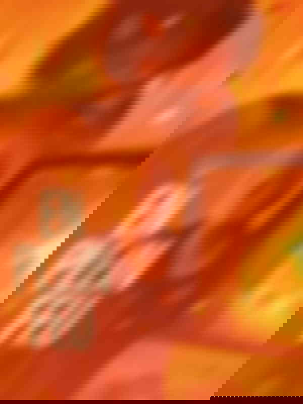 Poster du programme En plein feu