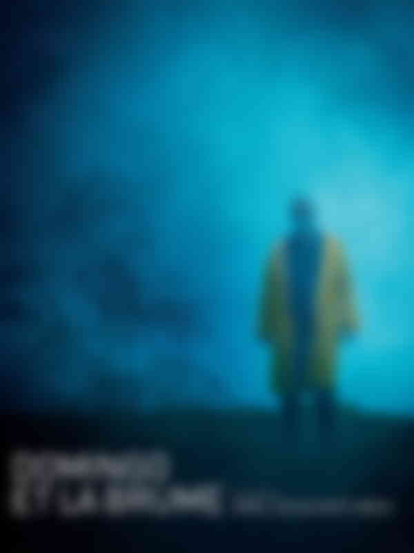 Poster du programme Domingo et la brume