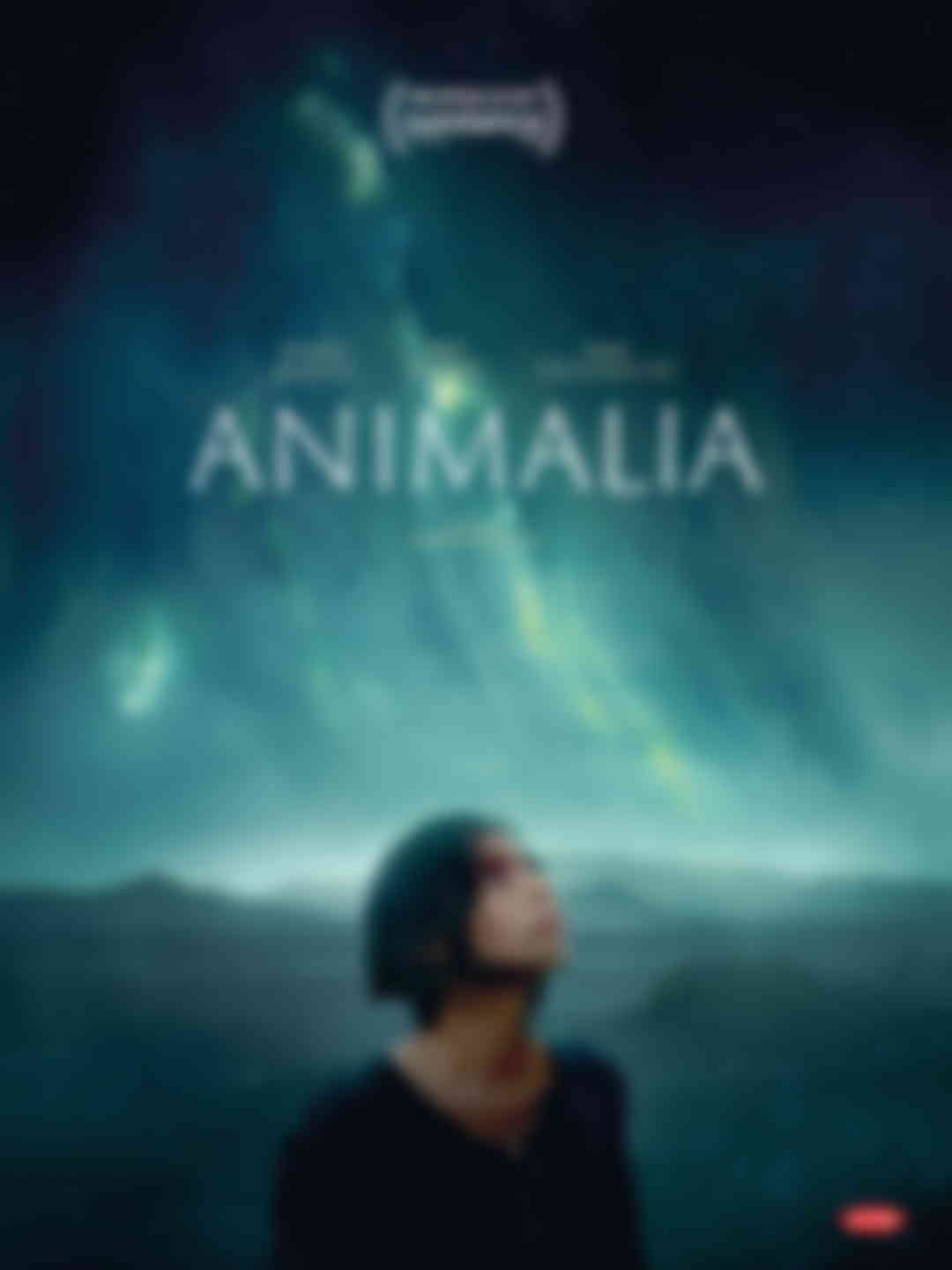 Poster du programme Animalia