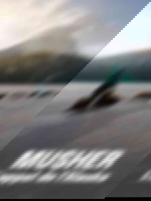 Poster du programme Musher, l'appel de l'Alaska