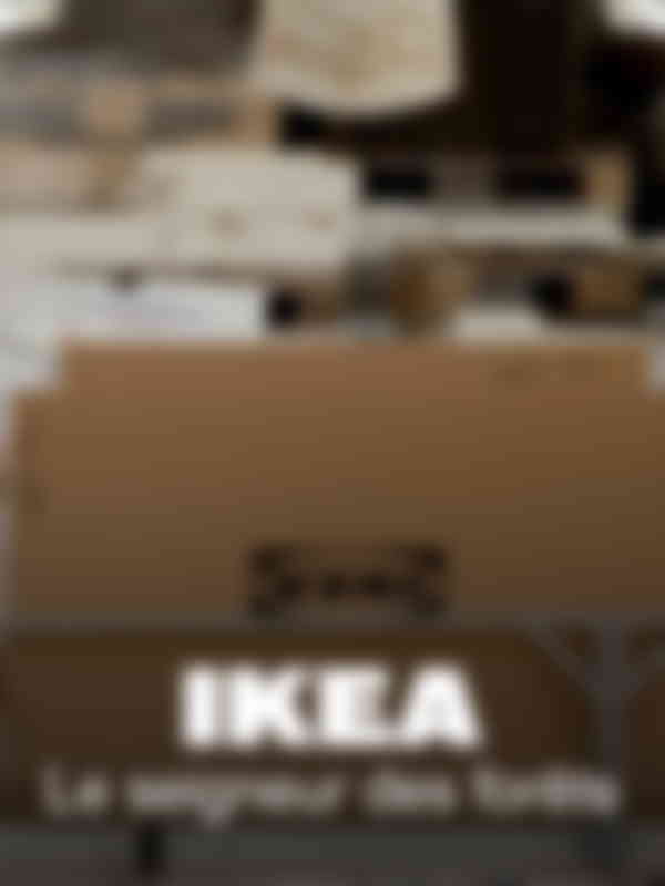 Poster du programme IKEA, le seigneur des forêts 