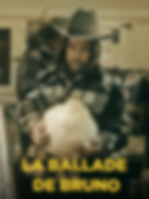 Poster du programme La ballade de Bruno
