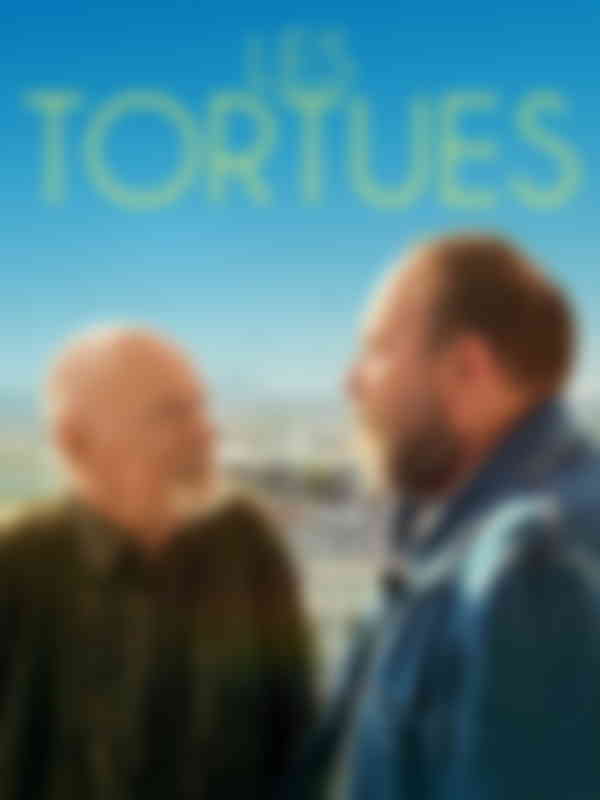 Poster du programme Les tortues