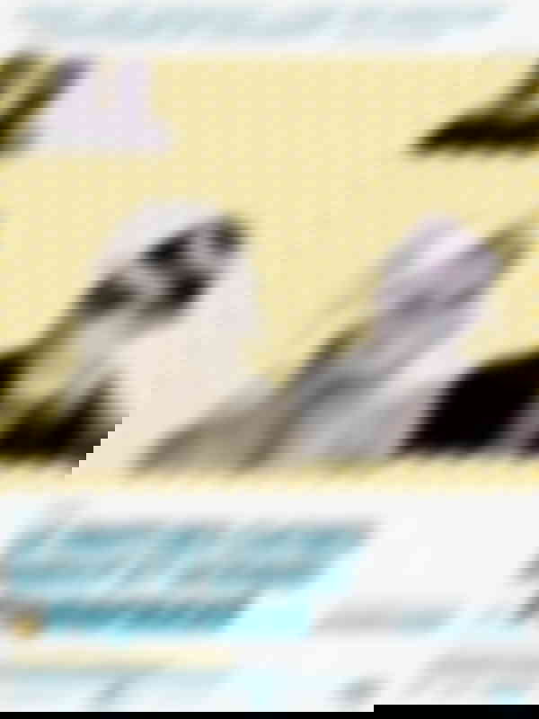 Poster du programme Paparazzi
