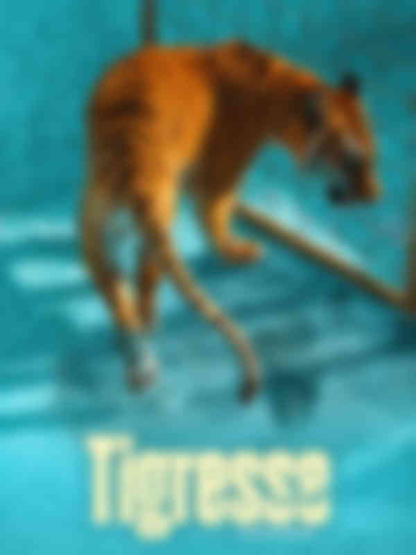 Poster du programme Tigresse