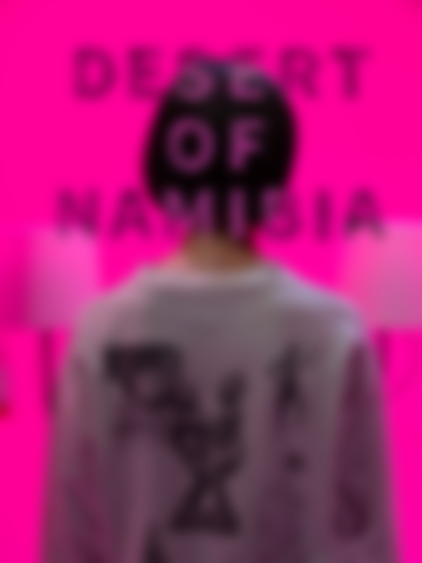 Poster du programme Desert of Namibia