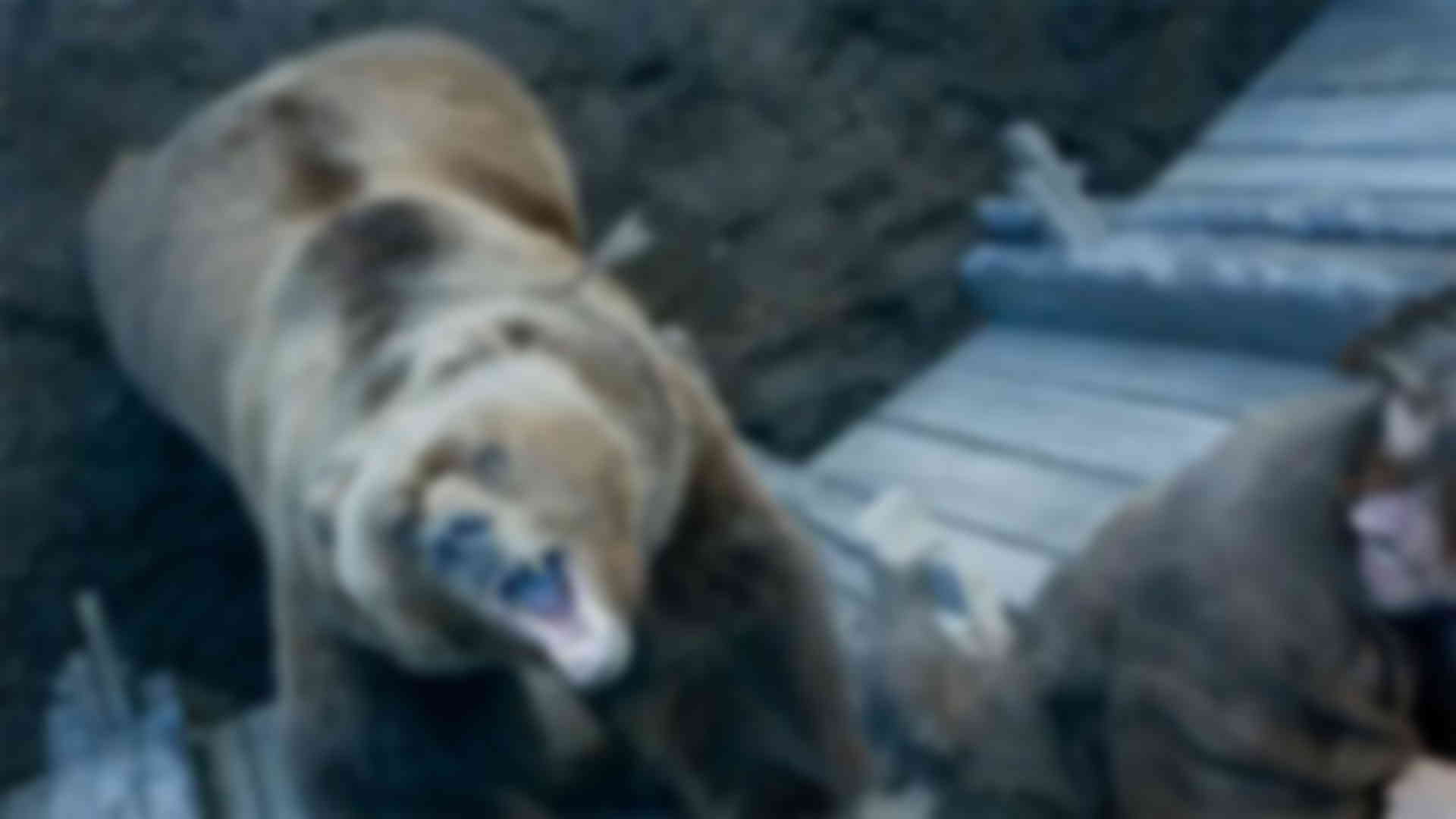 Photo de Game of Thrones - Saison 3 - Episode 7