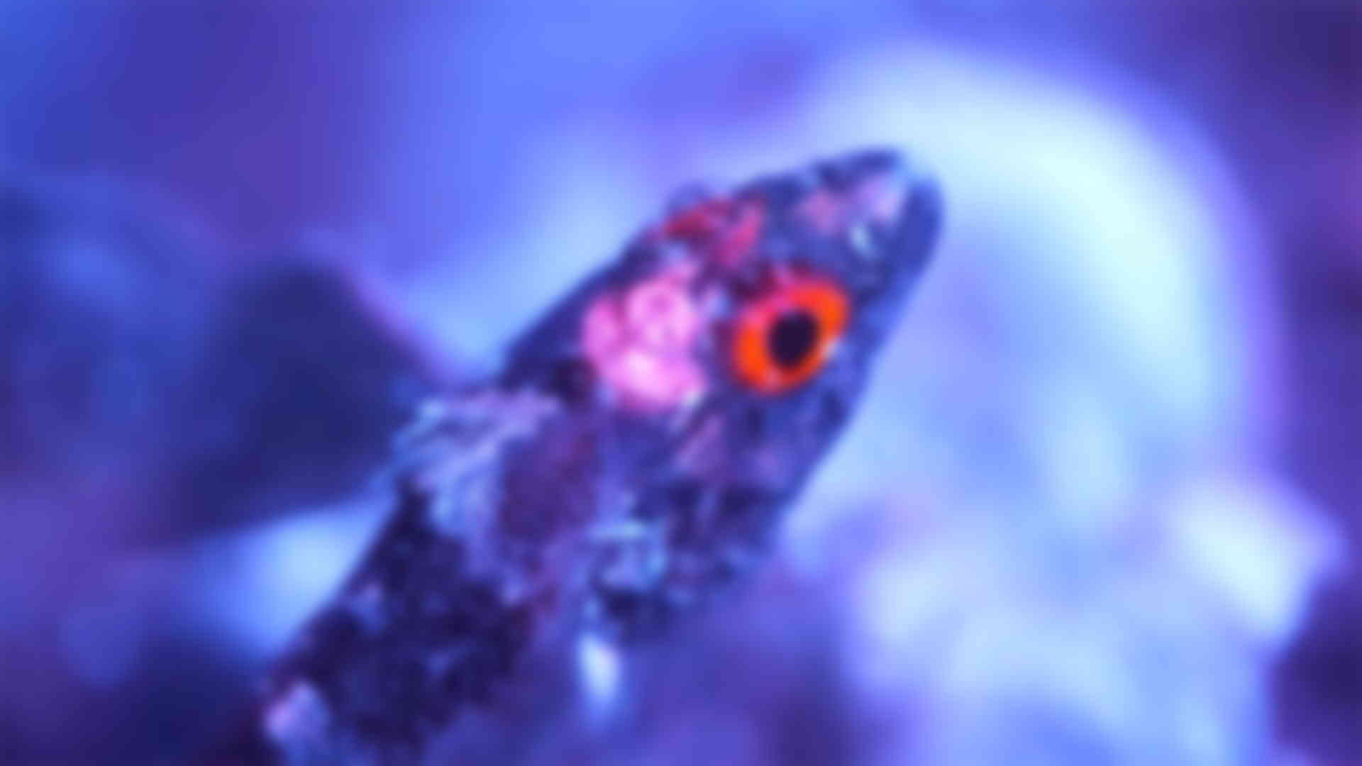 Photo "La vie en fluo - Épisode 2"