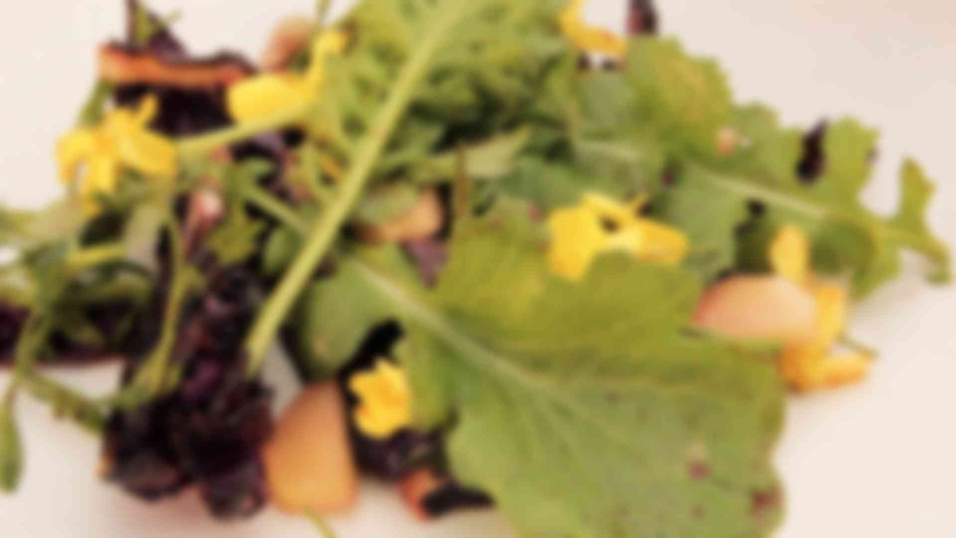 Photo de la série documentaire "Le bonheur est dans l'assiette" saison 2