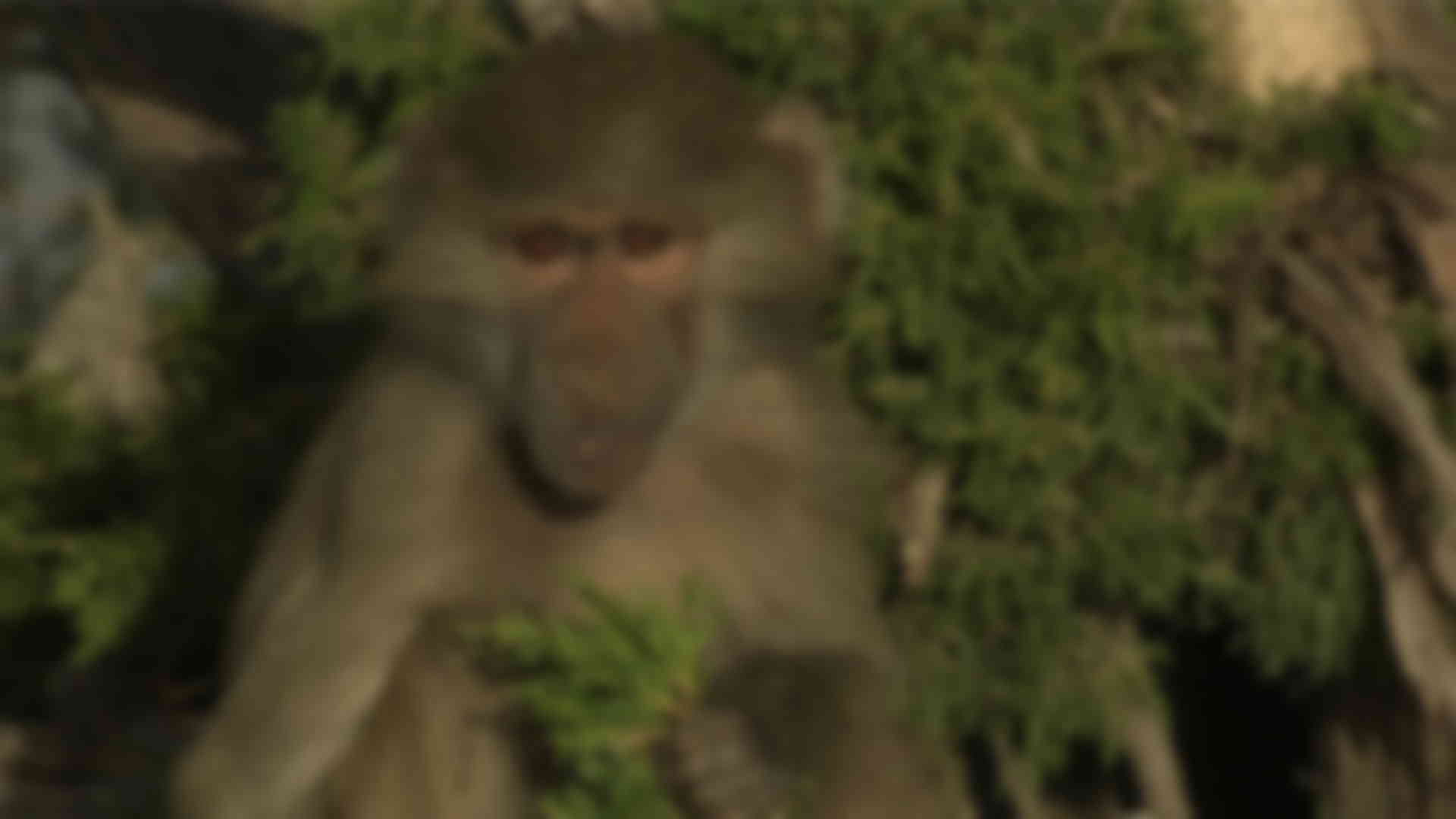 Photo de la série documentaire "L'évolution en marche"