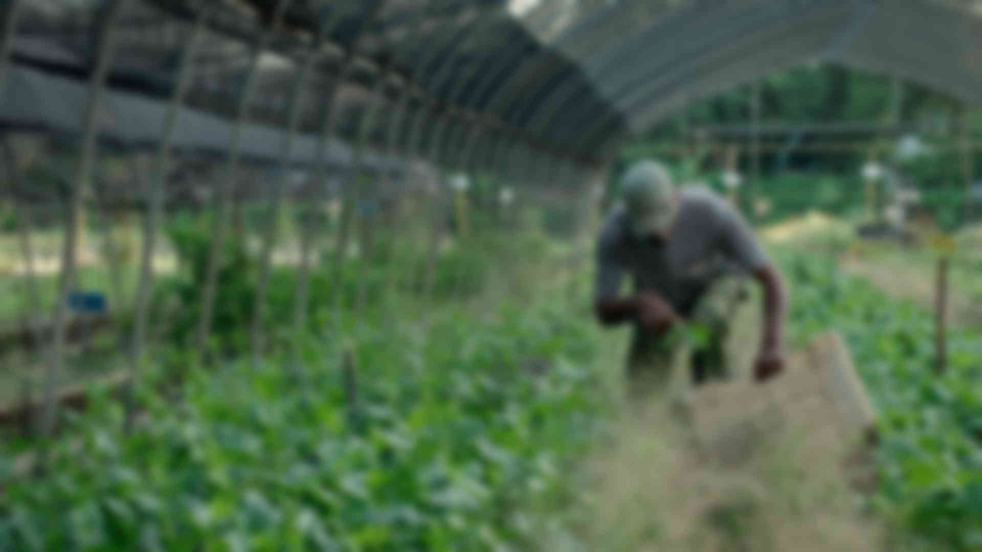 photo un monde nouveau épisode 2
