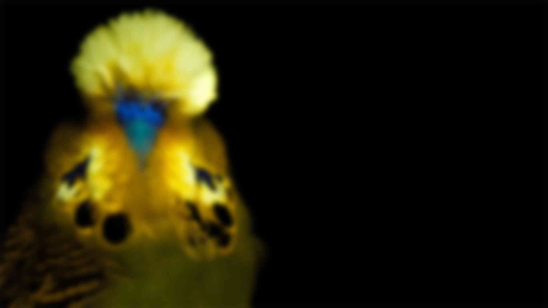 Photo "La vie en fluo - Episode 1"