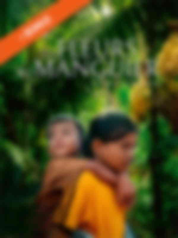 Poster du programme Les fleurs du manguier