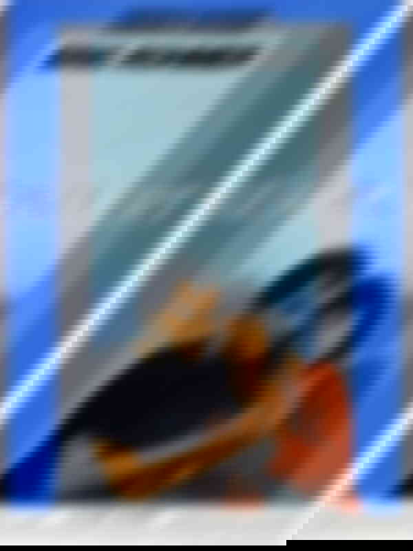 Poster du programme Le Rayon vert 